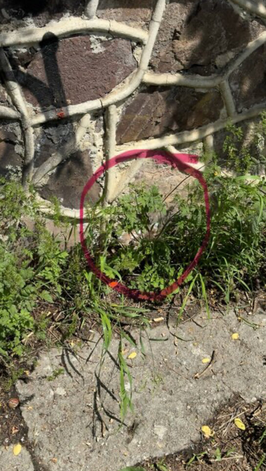 IMG_0527.jpeg - adaponczoszka25