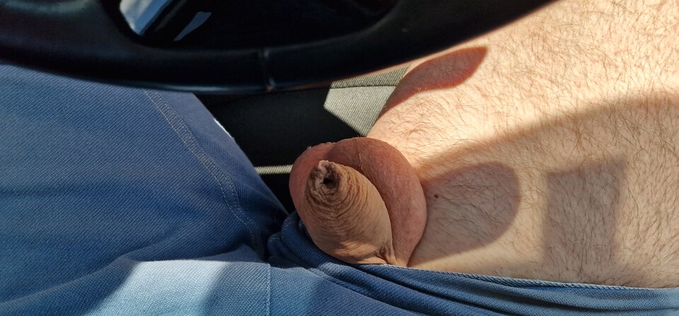 17178372813812809008184588540055.jpg - robin266