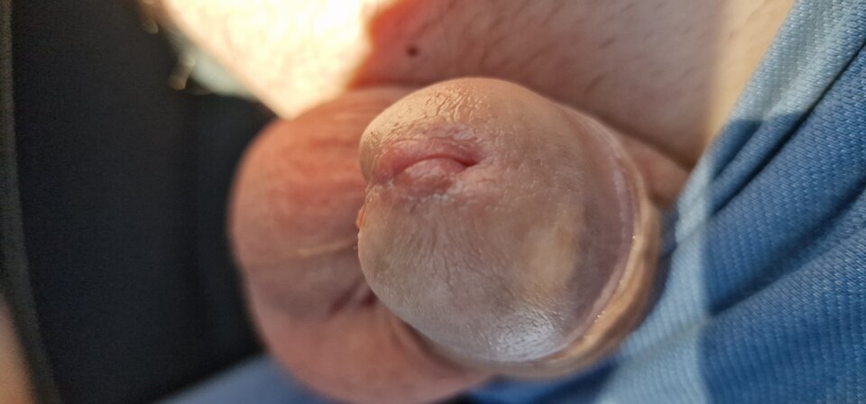 17178373223016791386638004930041.jpg - robin266