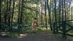 VID_20230825_155615.mp4_snapshot_00.44.654.jpg