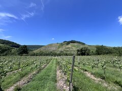 IMG_6283.jpeg