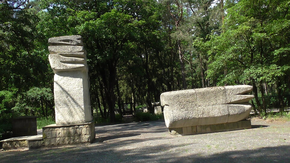 S2590020.JPG - bojman8