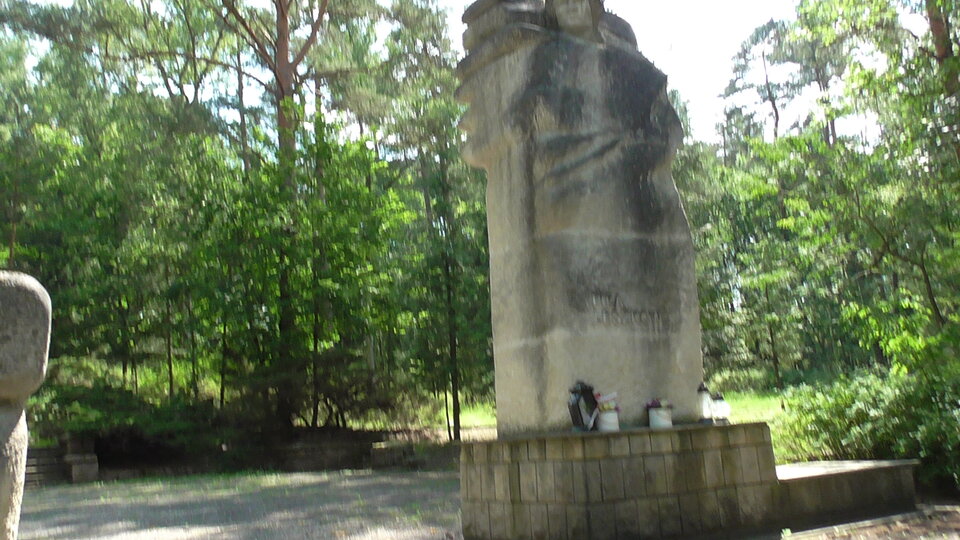 S2590024.JPG - bojman8