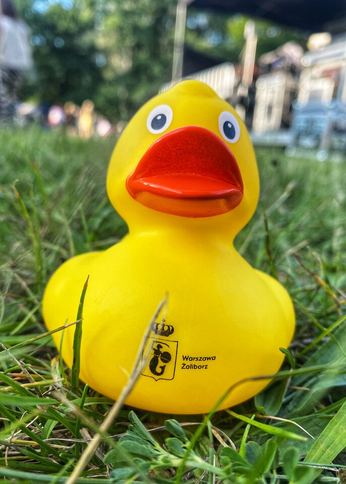 🤣🐥 - serialowapara19782