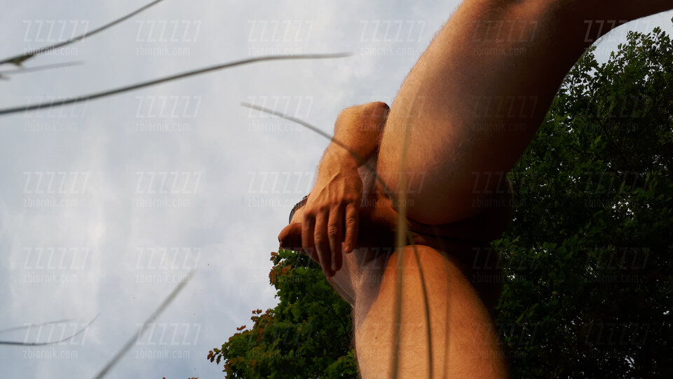 Wypad do lasu - zzzzz7