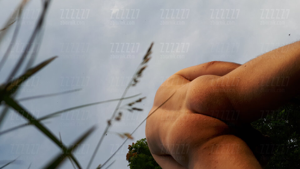 Dupa w lesie przy zachodzie - zzzzz7