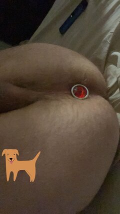 IMG_4130.jpeg