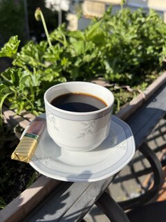 IMG_6367.jpeg
