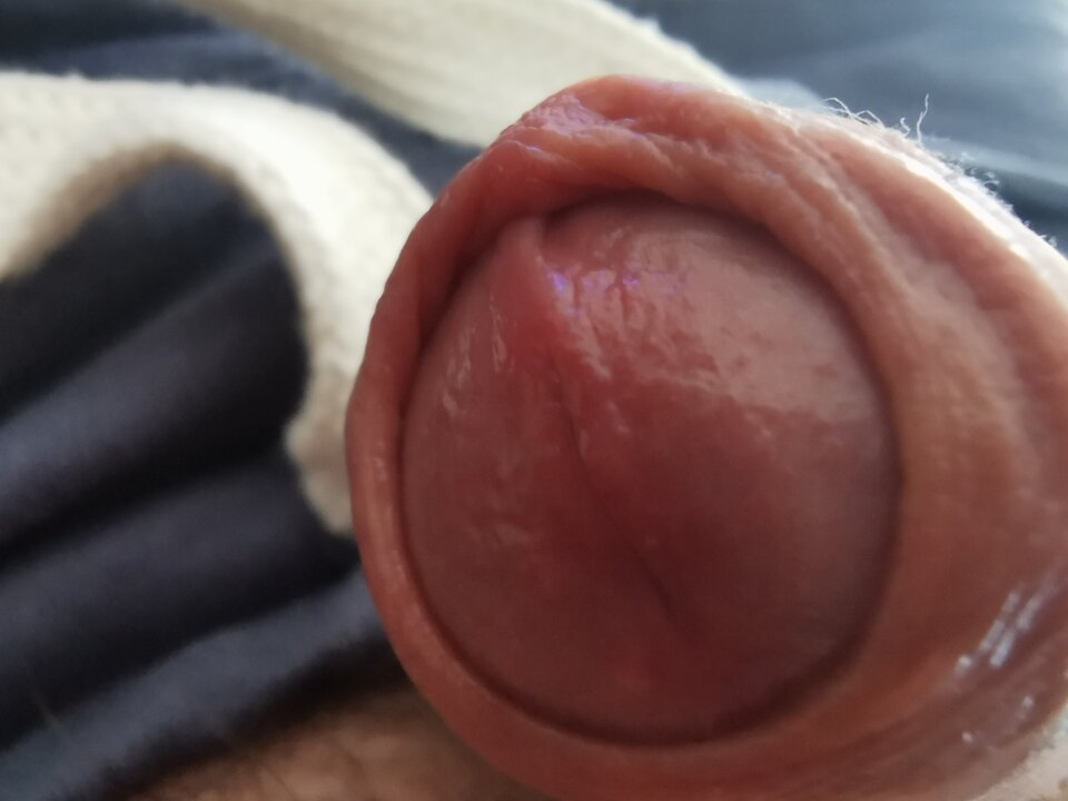 IMG_20240609_093558.jpg - Zi0001