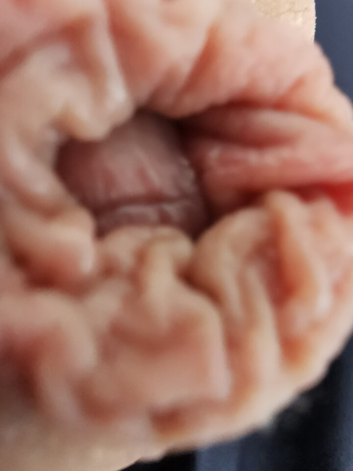 IMG_20240609_160257.jpg - Zi0001