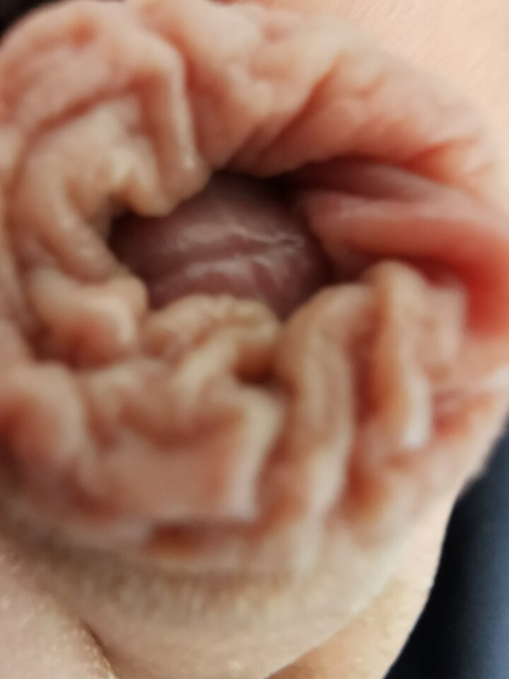 IMG_20240609_160318.jpg - Zi0001