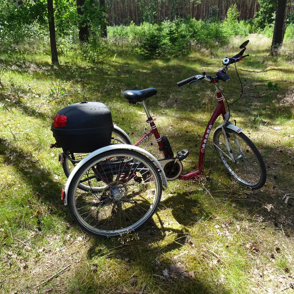 DSC02966.JPG - bojman8