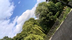 DSC_0696.JPG