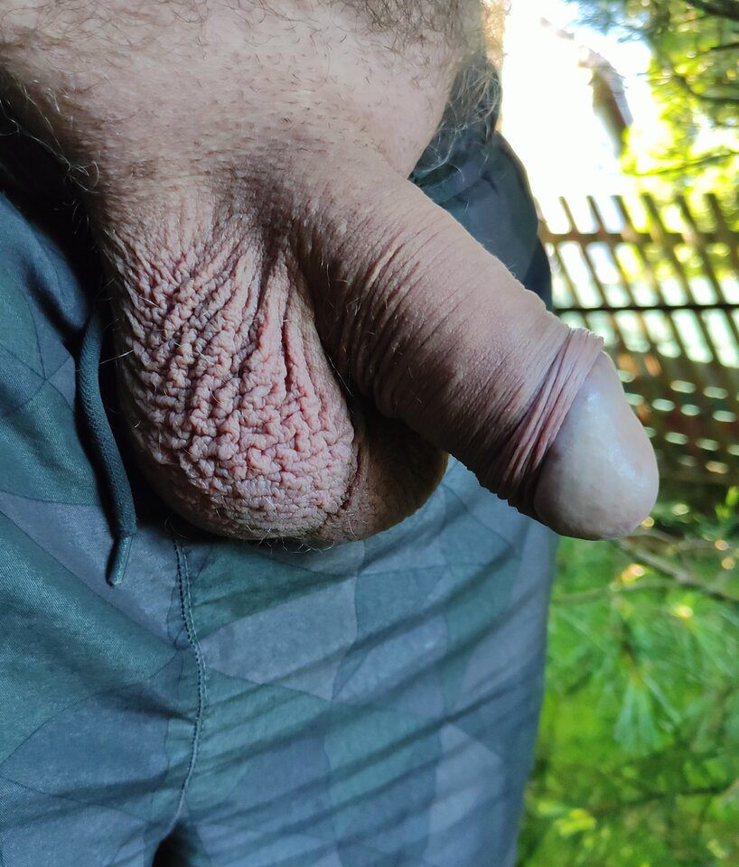 1000016352.jpg - jogan