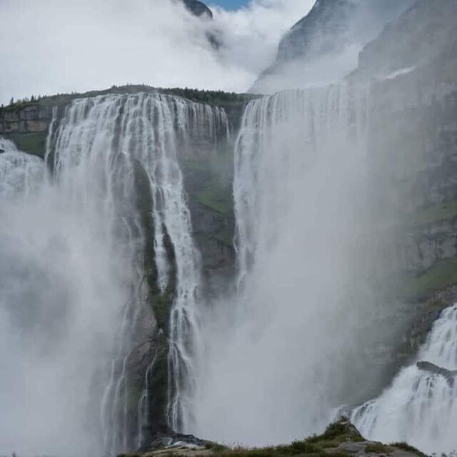 IMG_9655.jpeg - kingcrimson