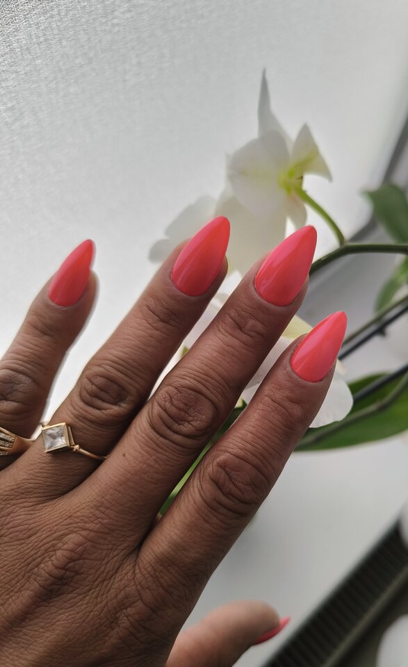 IMG_20240610_093112.jpg - krejziparka