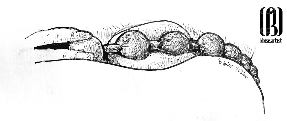 Art. No. 278 - blaise8