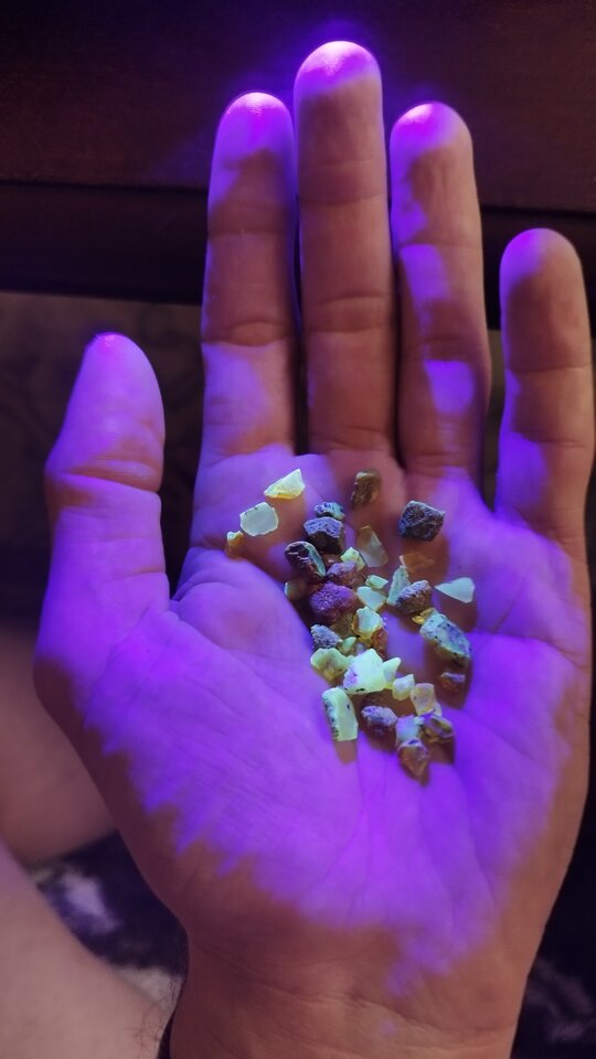 1000012391.jpg - Salari