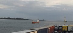 IMG_20240606_053335.jpg