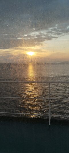 IMG_20240606_053124.jpg