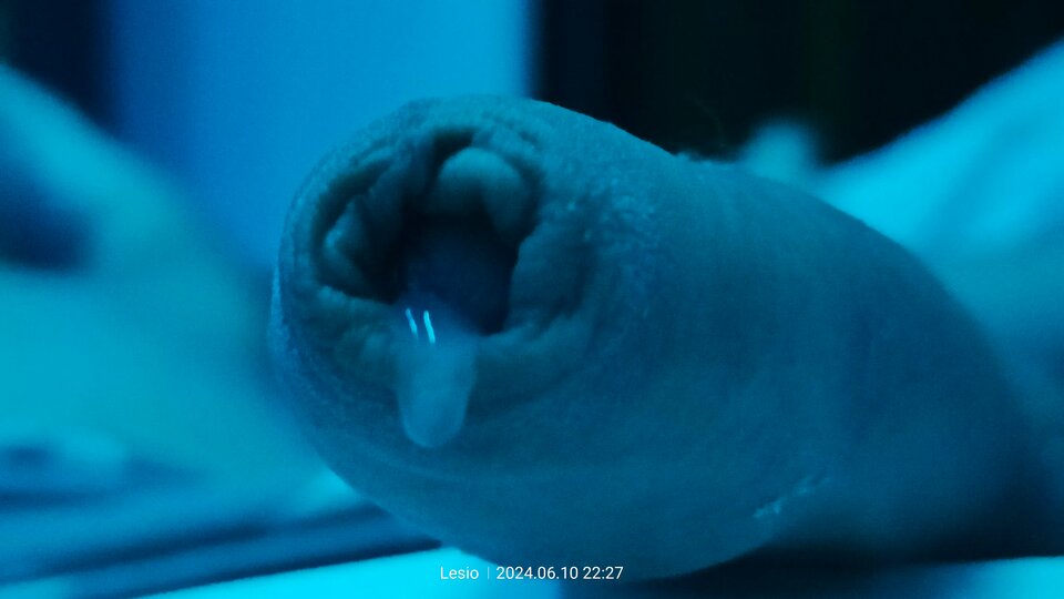 1000015067.jpg - diablontko83