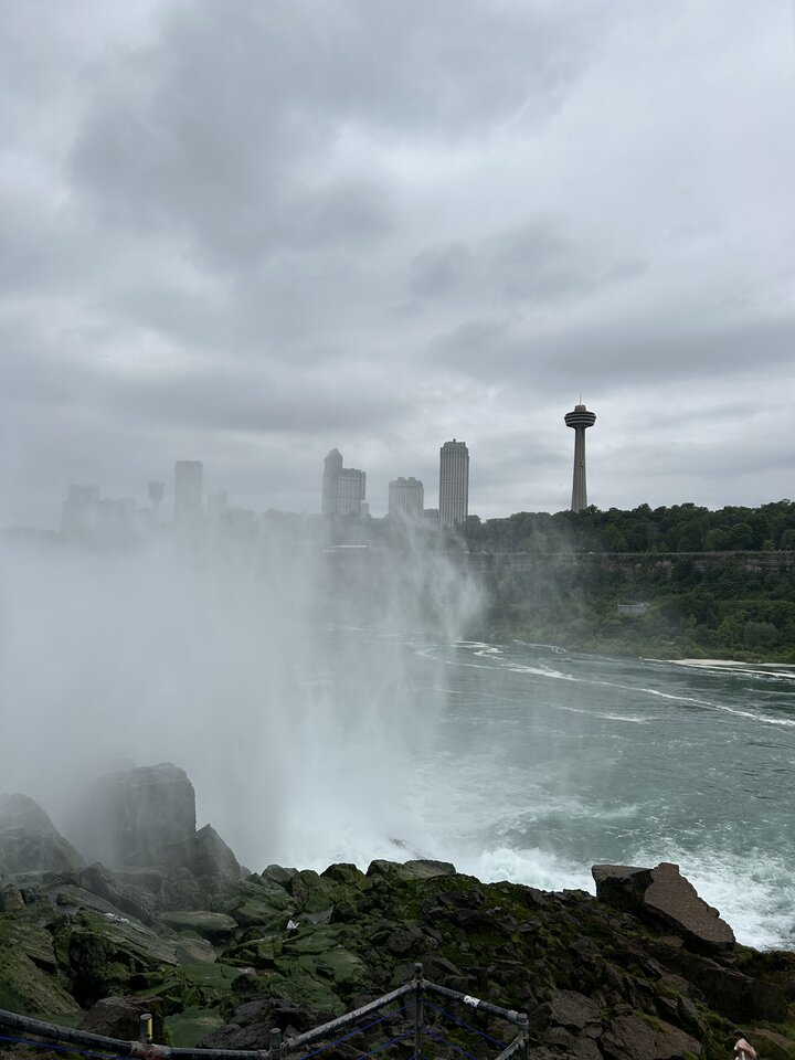 IMG_6478.jpeg - Capdowi