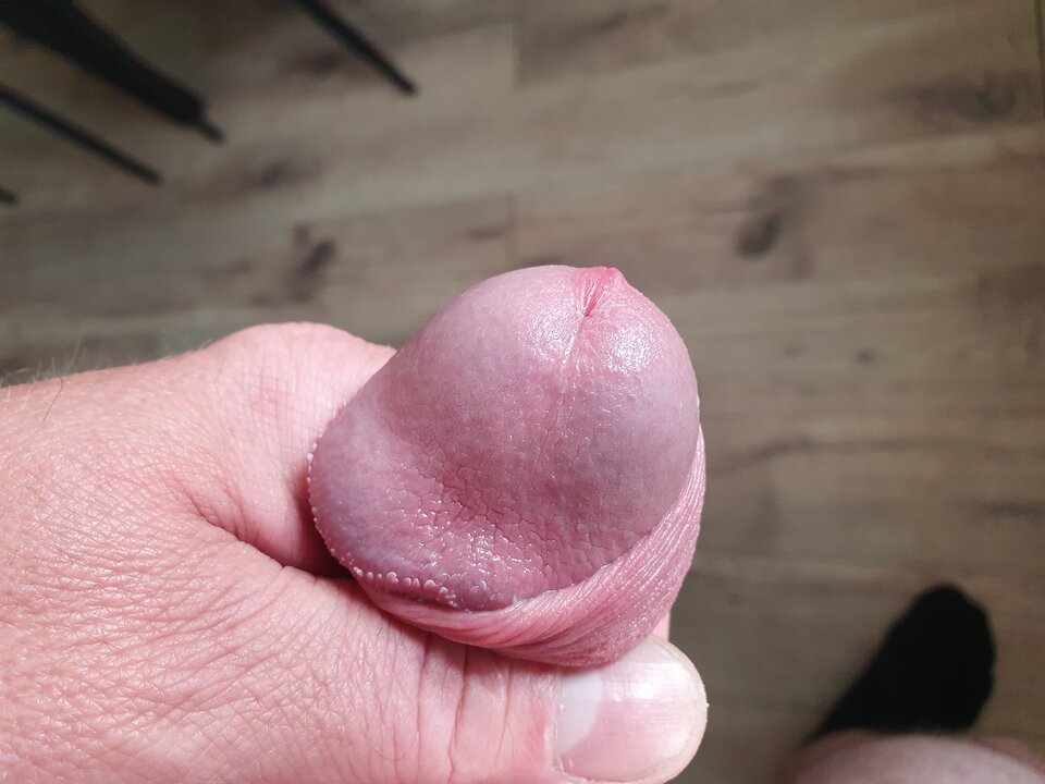 17180833185342253250452178202830.jpg - jaann1975