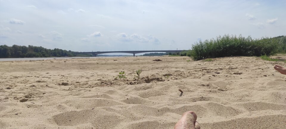 WZ 11.06.2024 przed południem. - ParaKatharsis