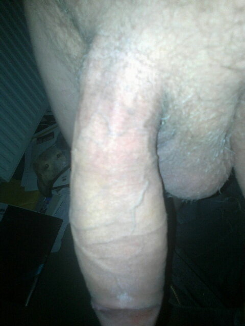 20140108216-001.jpg - Akhenaton93