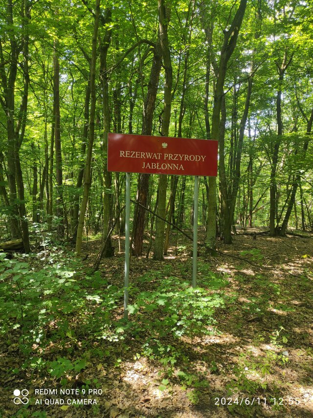 WolnyWawa