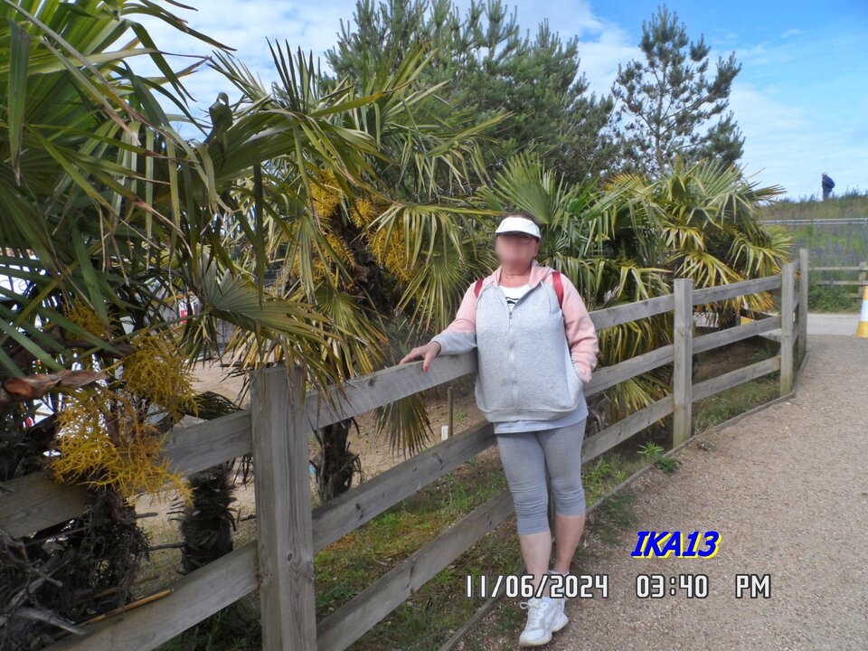 SAM_1926.JPG - ika13