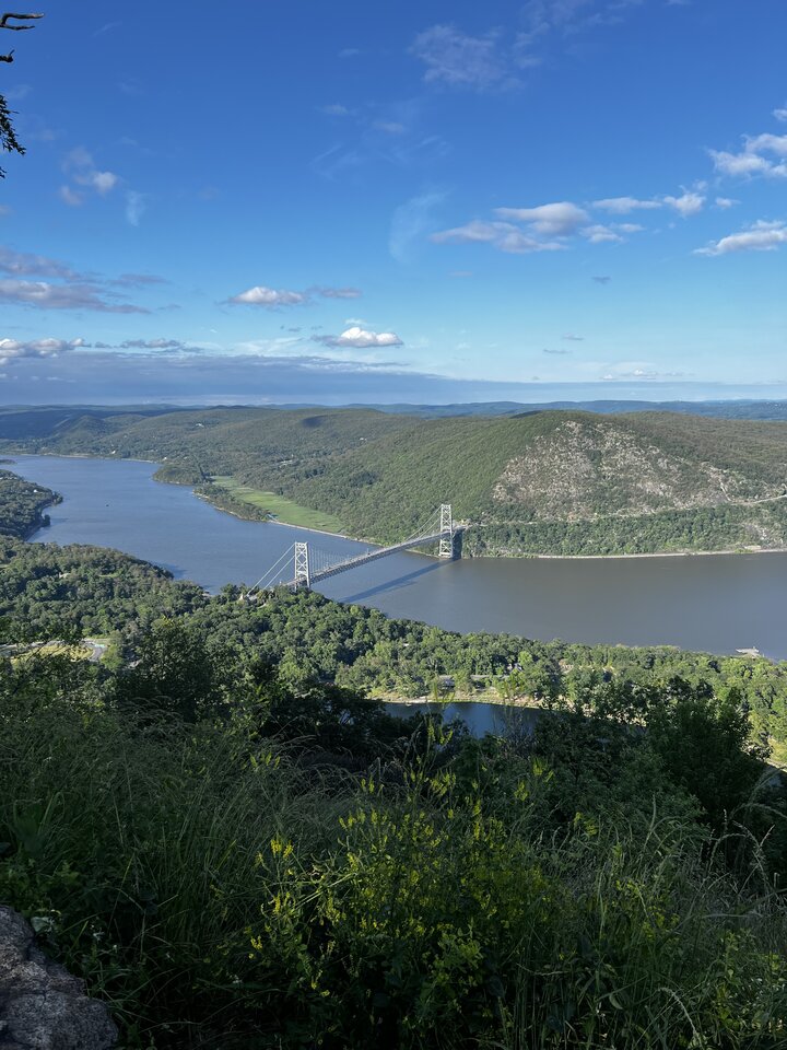 IMG_6892.jpeg - Capdowi