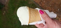 IMG_20240612_134731.jpg
