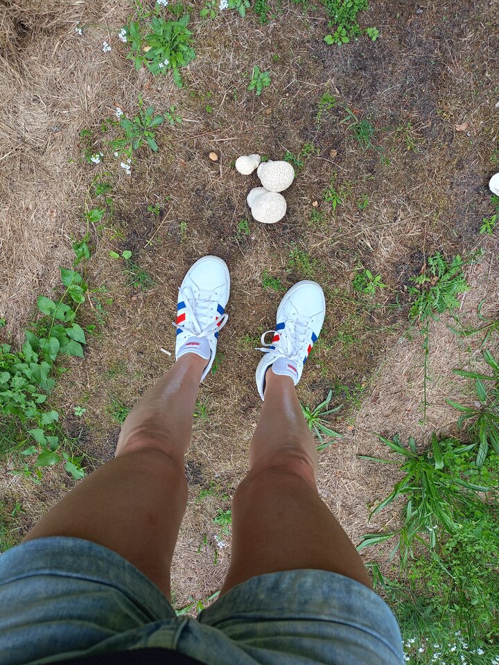 1000042189.jpg - Mar7669