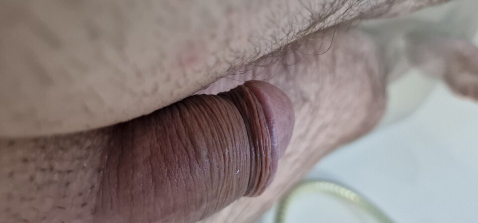 17182182812357651553605973287613.jpg - robin266