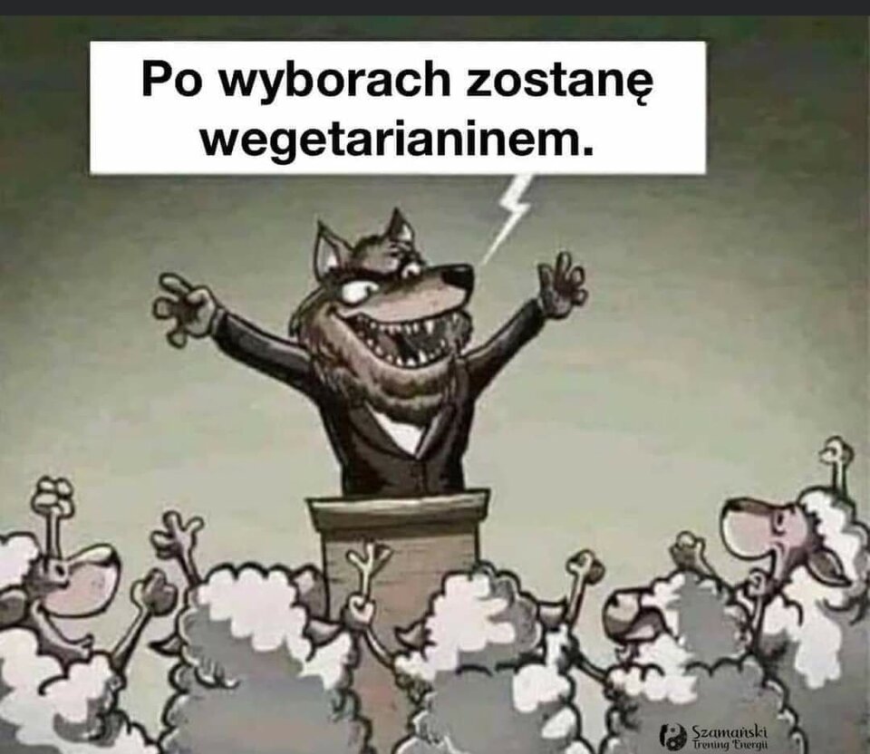 IMG_20240411_120634.jpg - Nicci