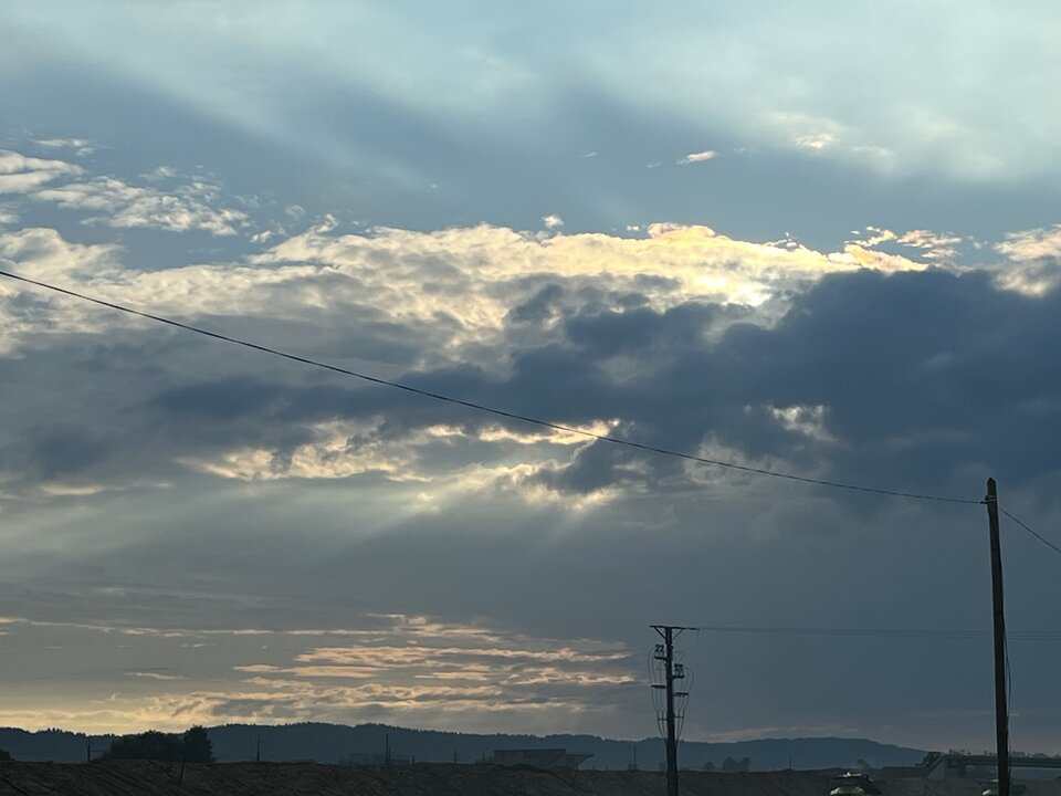 IMG_1325.jpeg - Tomash975