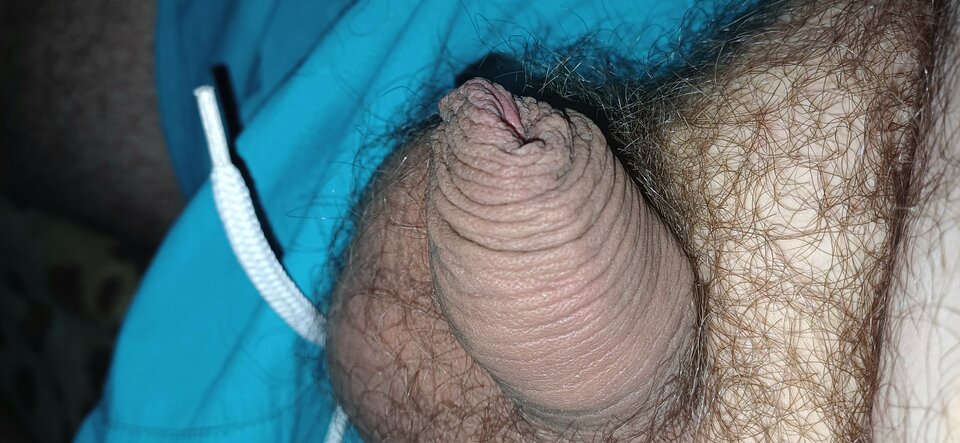 20240613_020402.jpg - PuszystyLubuskie