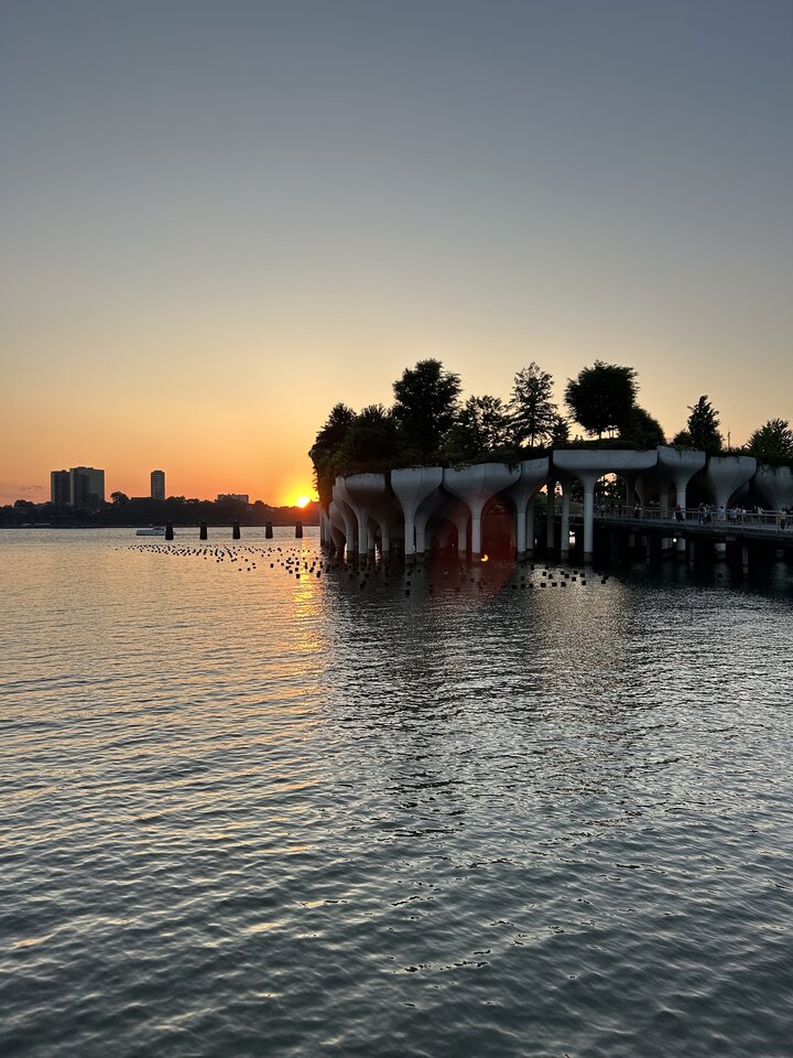 IMG_6890.jpeg - Capdowi