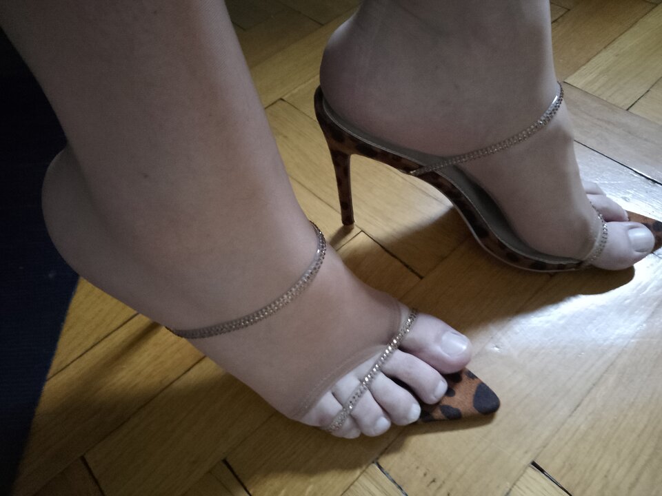 IMG_20240613_141728~2.jpg - wponczochach