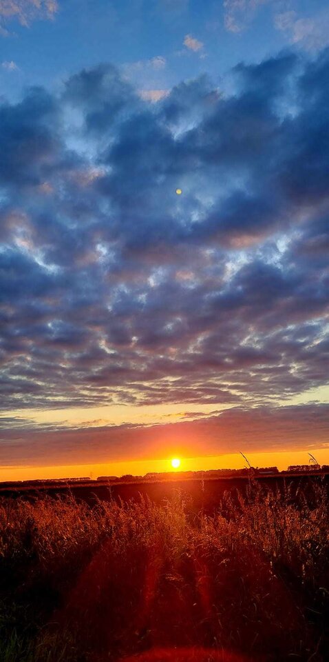 IMG-20240613-WA0019.jpg - Luxkrzysztof