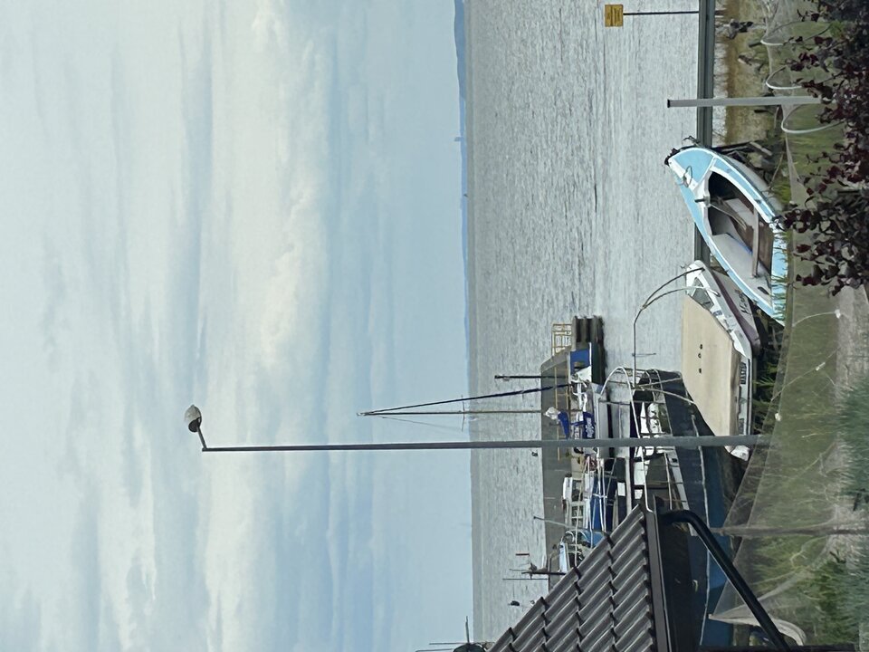 IMG_4906.jpeg - MagdMar7