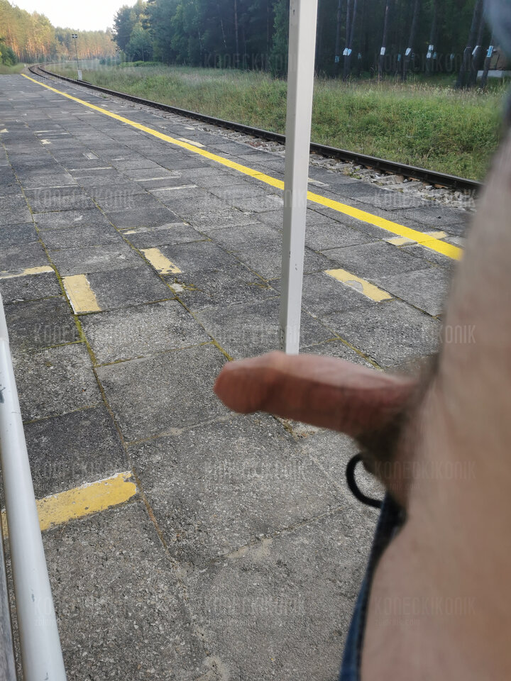 IMG_20240614_060233.jpg - Koneckikonik