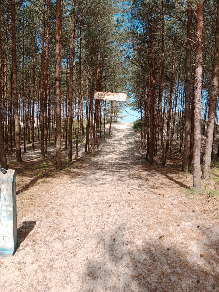 IMG_20240615_102652.jpg - Apetycznaparaa