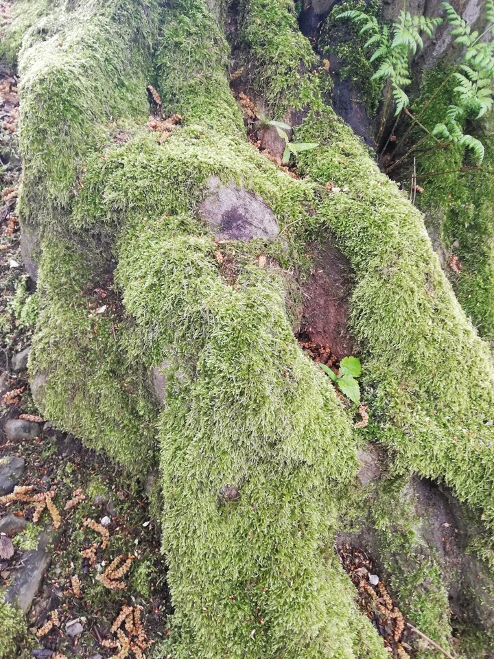 IMG_20230507_143302.jpg - duch1958