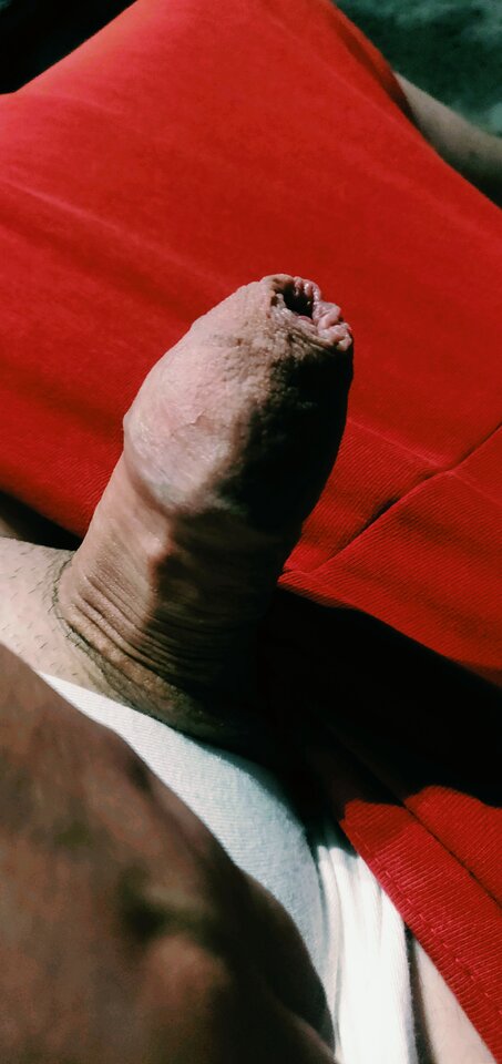 IMG_20240615_132150__01.jpg - fajnykutasek25