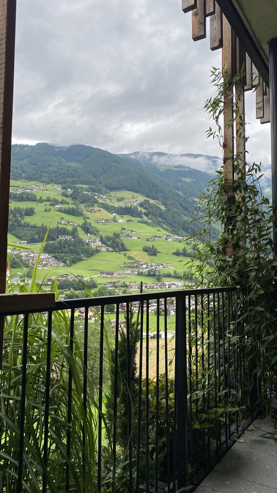 IMG_2697.jpeg - May_Day