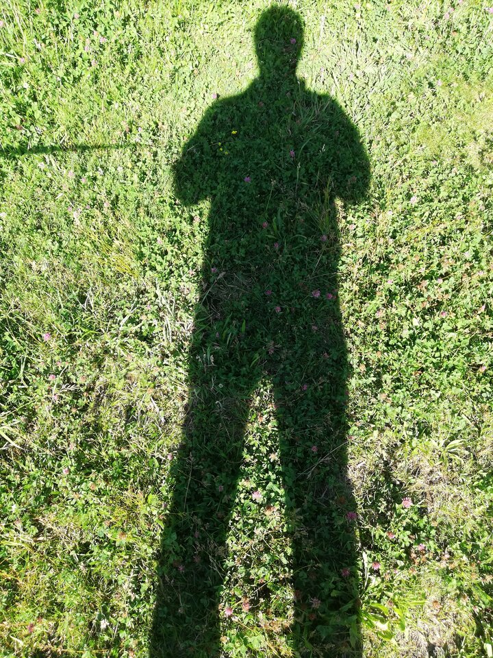 IMG_20240615_164421.jpg - duch1958