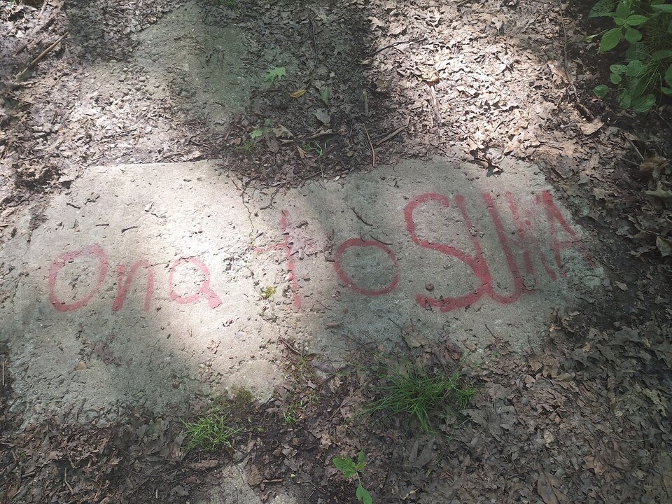 1000032011.jpg - Gemini06