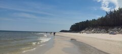 IMG_20240615_112518.jpg